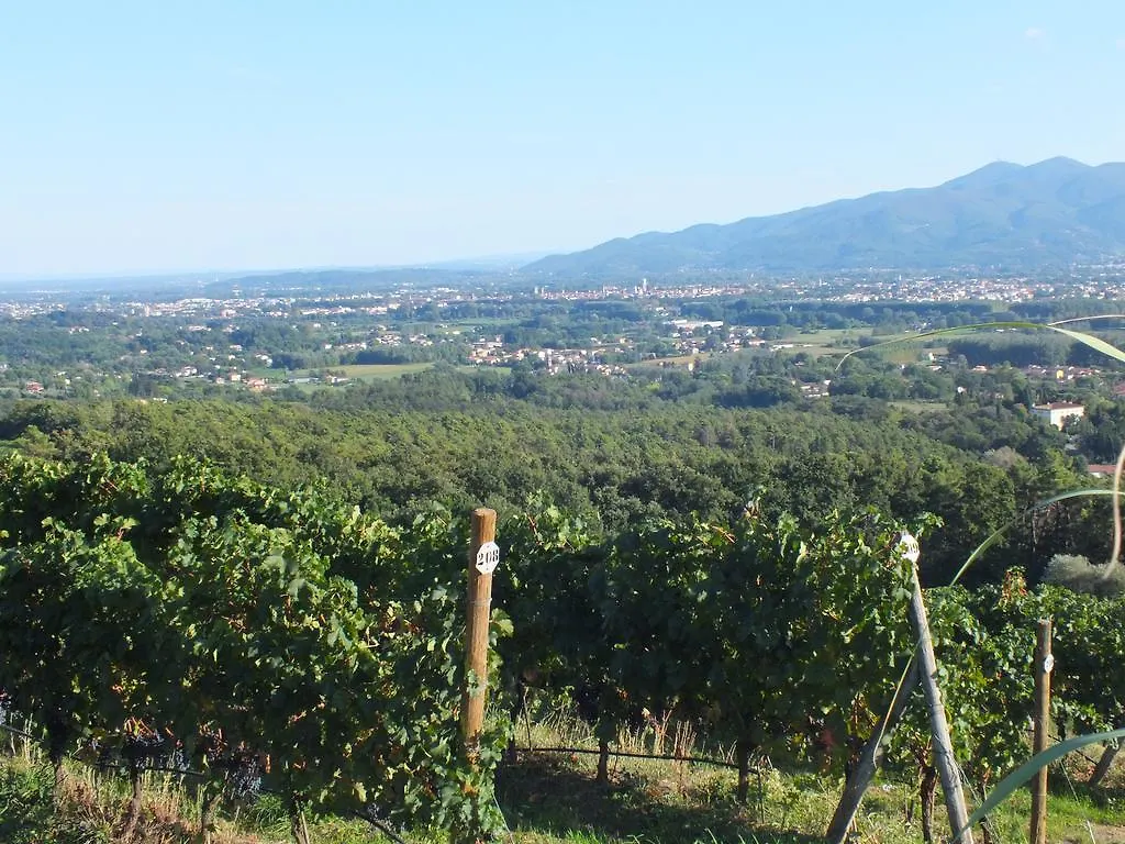 Villa Casetta Lucca 0*,  İtalya